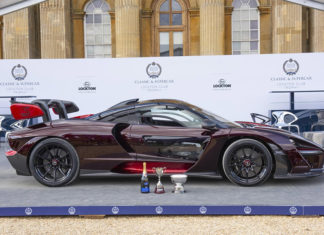 McLaren Senna McLaren F1 Awards