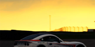 Ginetta at Donington Park