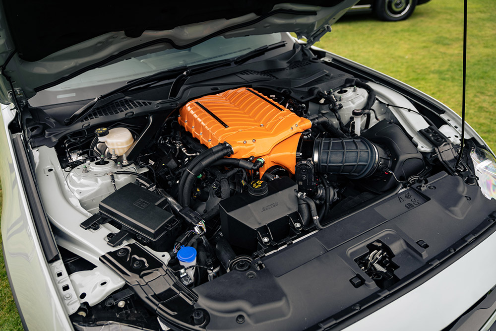 Clive Sutton Mustang Mach 1 767 Edition