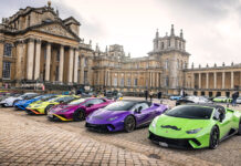 Lamborghini Movember