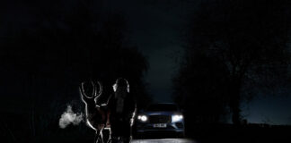 Bentley Helps Find Rudolph The Red Nosed Reindeer