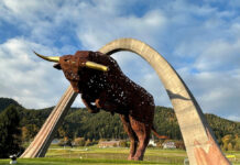 Manthey Porsche GT Trackday at the Red Bull Ring