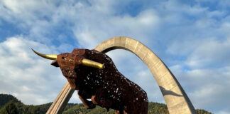 Manthey Porsche GT Trackday at the Red Bull Ring