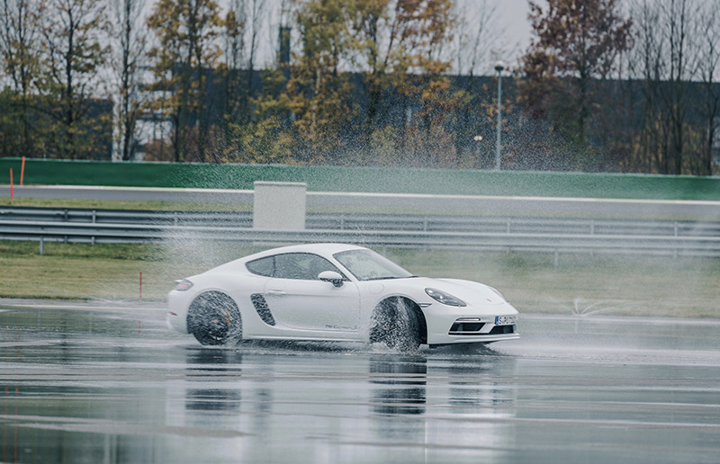 Forza Motorsport 7 Porsche Cars